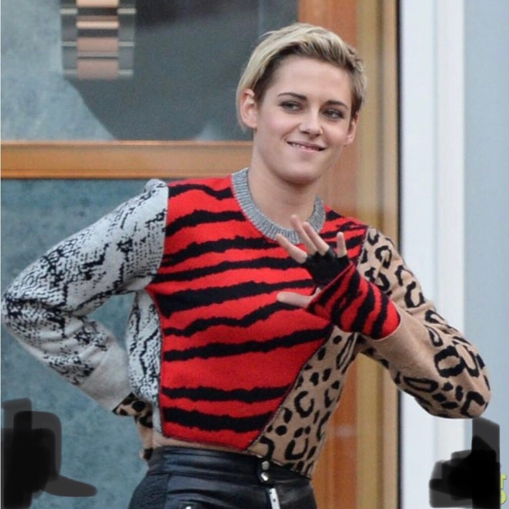 Animal Print Sweater